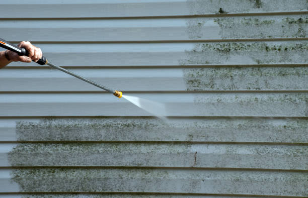 Best Fence Pressure Washing  in Lake City, IA