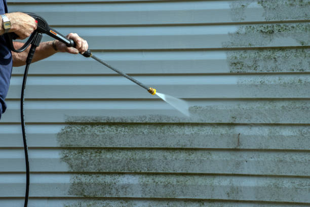 Best House Pressure Washing  in Lake City, IA